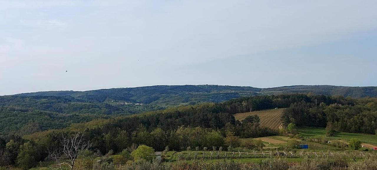 Bitini Farm Apartment Gračišče Buitenkant foto